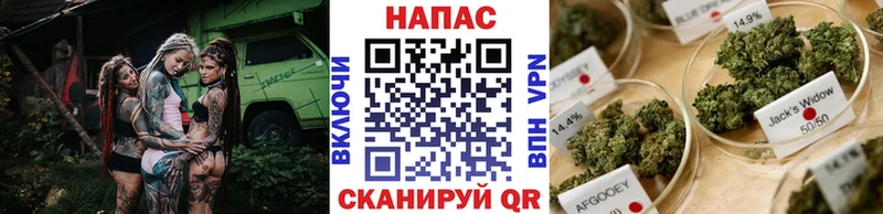 Где купить наркотики Великий Устюг Канабис  Cocaine  Героин  Мефедрон  ГАШИШ  Alpha-PVP 