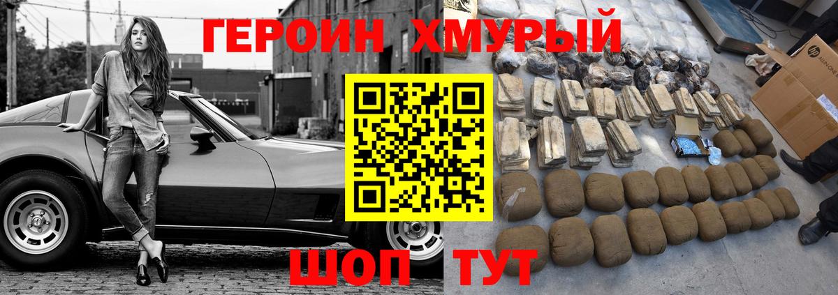 ГЕРОИН хмурый  Великий Устюг 