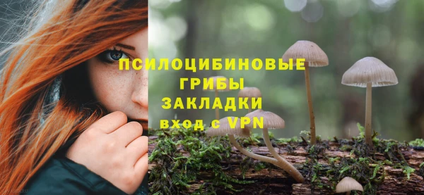 МДПВ Бугульма