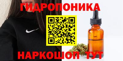 альфа пвп Аргун