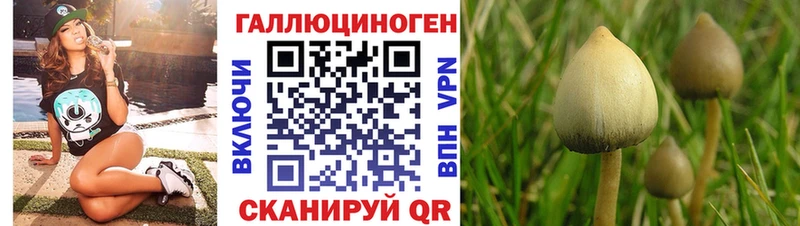 Галлюциногенные грибы MAGIC MUSHROOMS  Великий Устюг 