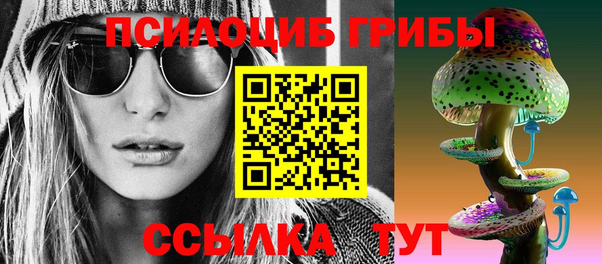 Псилоцибиновые грибы Cubensis  где купить наркоту  Великий Устюг  Галлюциногенные грибы Cubensis  Вход с VPN 
